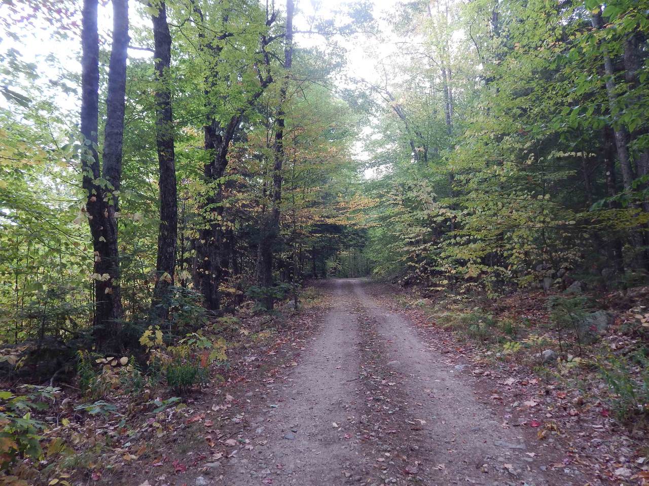 R13L50 Corn Hill Road - Photo 1