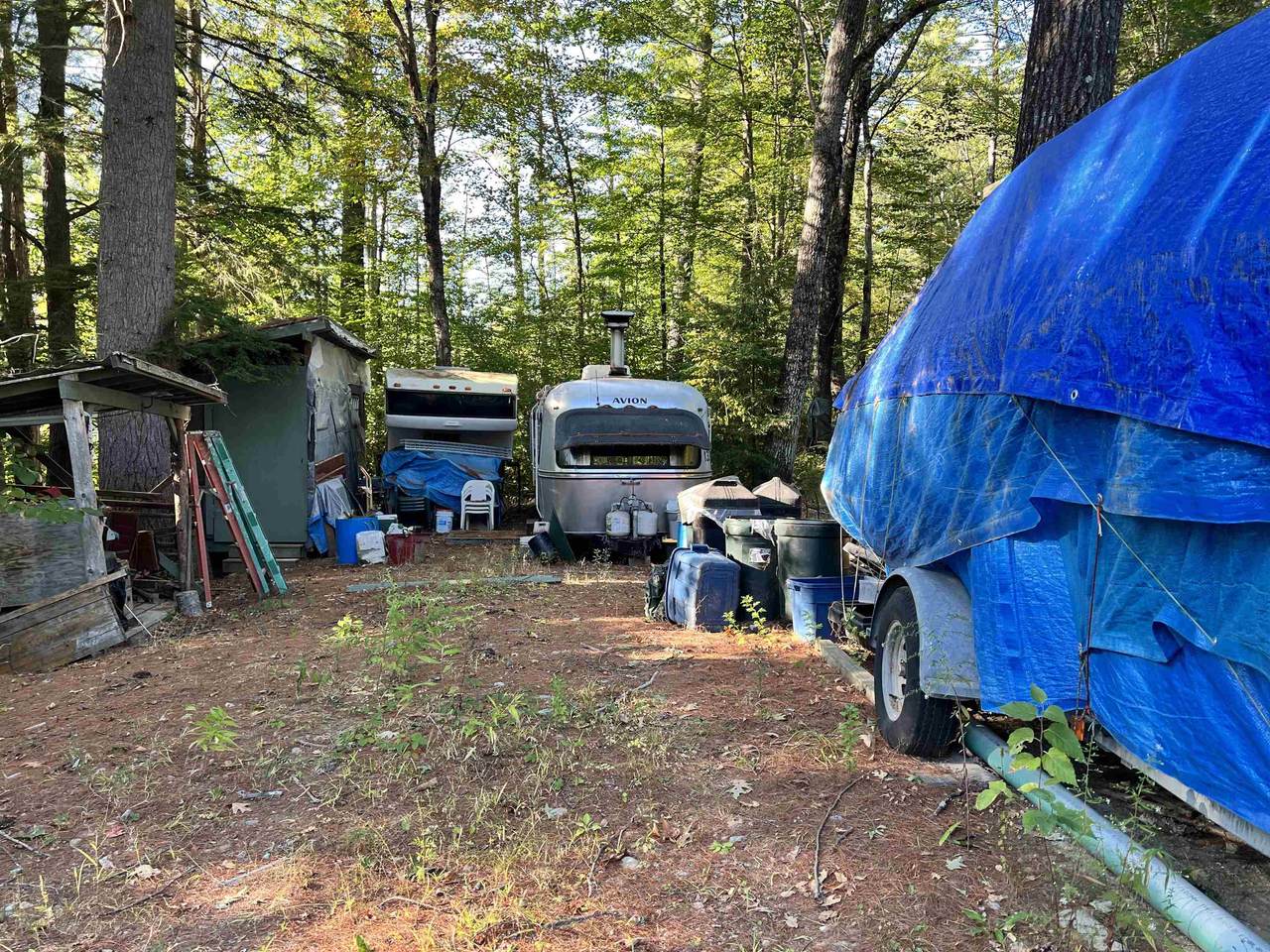 Lot 265 Midnight Walk - Photo 1