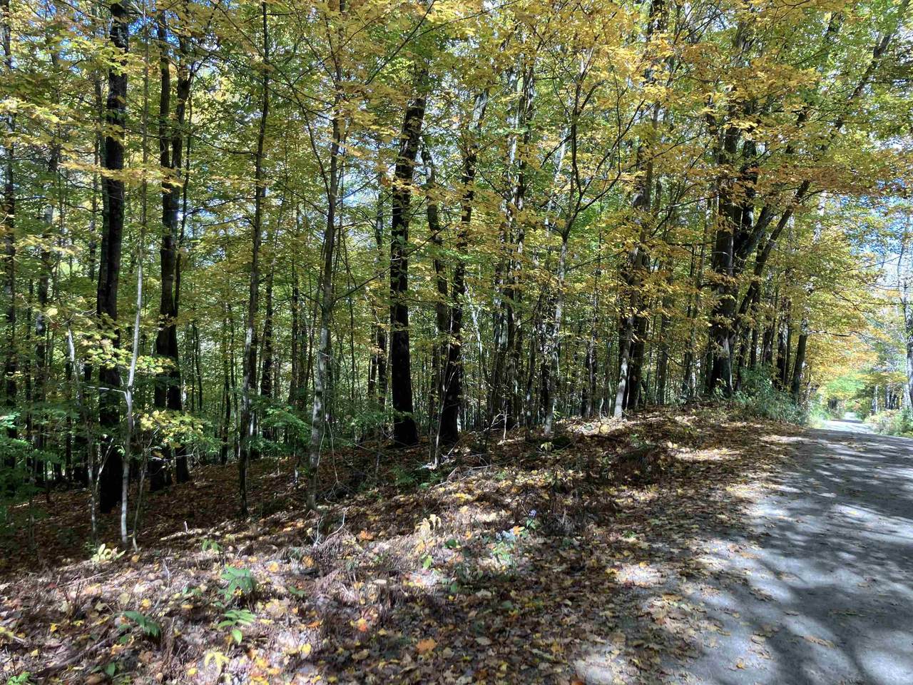 95 Highbridge Road - Photo 1