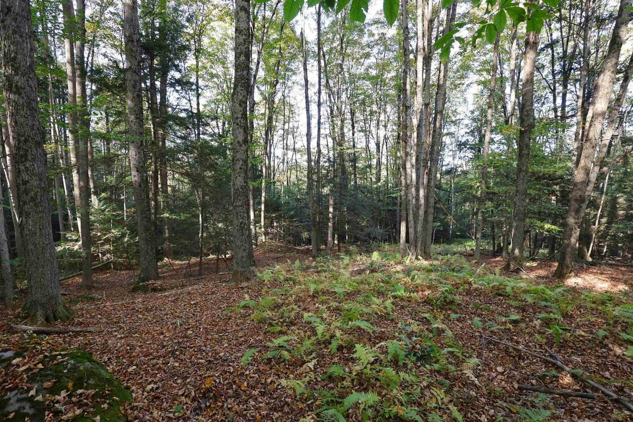 0 Woodlawn Drive - Photo 1