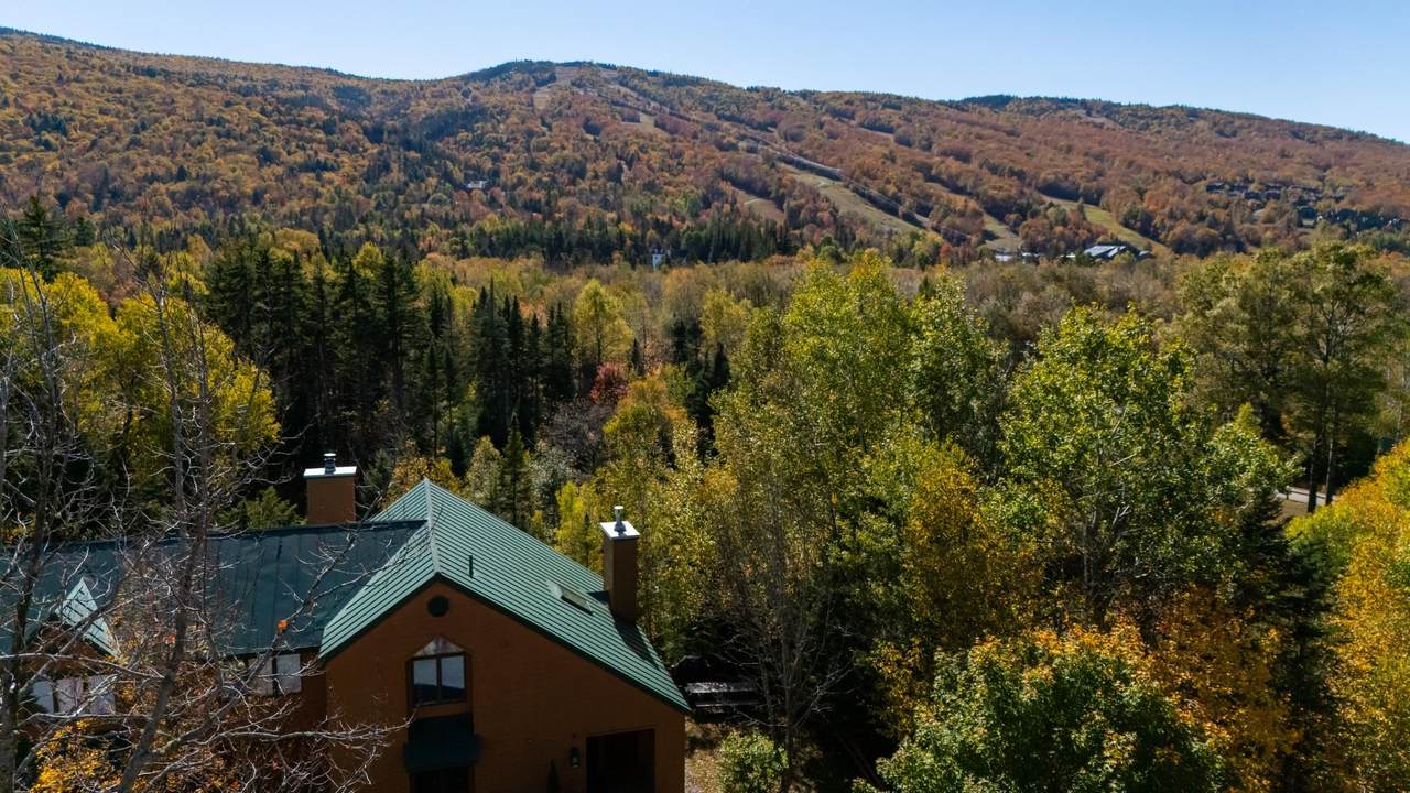 527 Hannah Loop - Photo 1