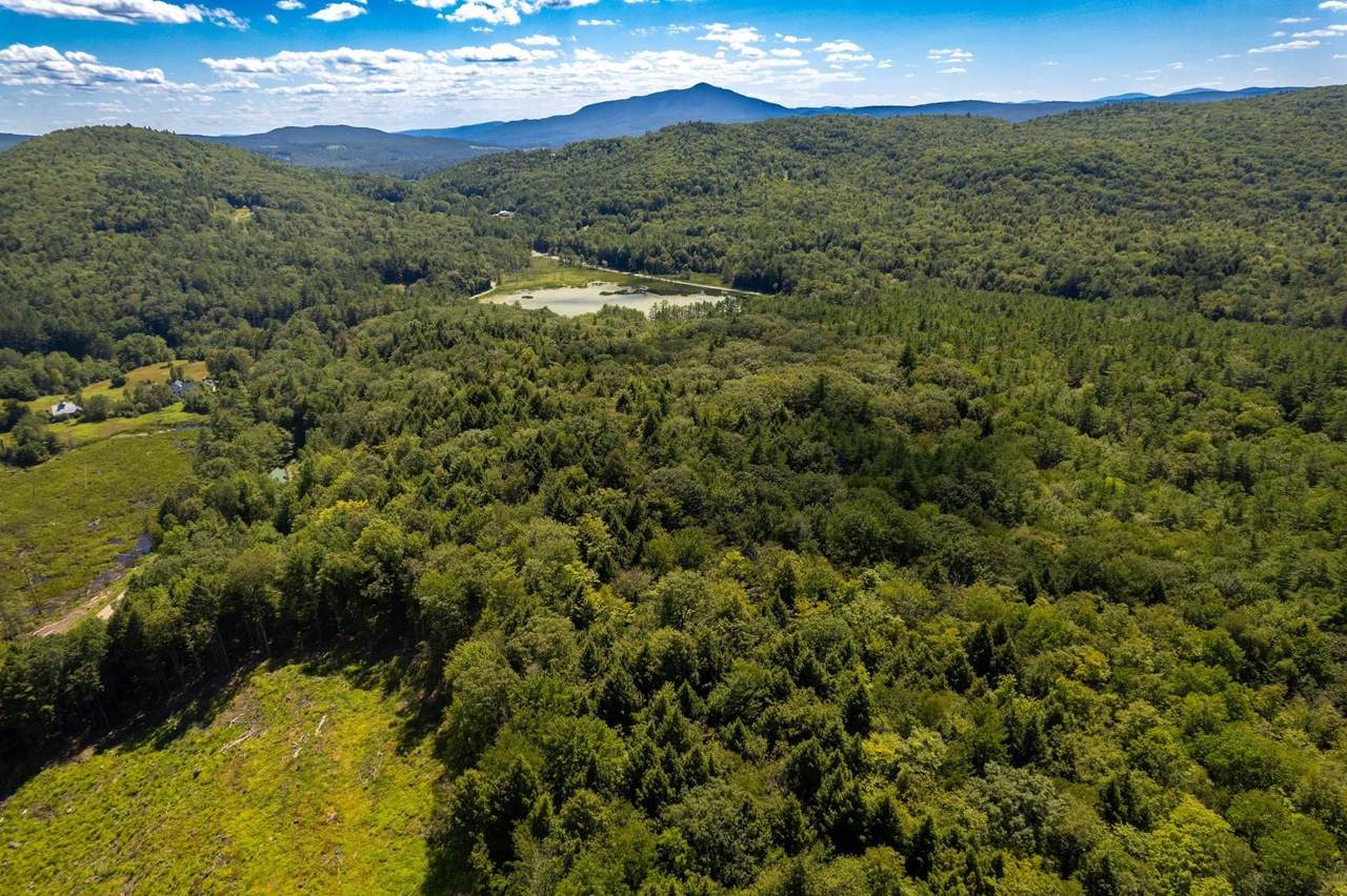 00 Nh Route 12A - Photo 1