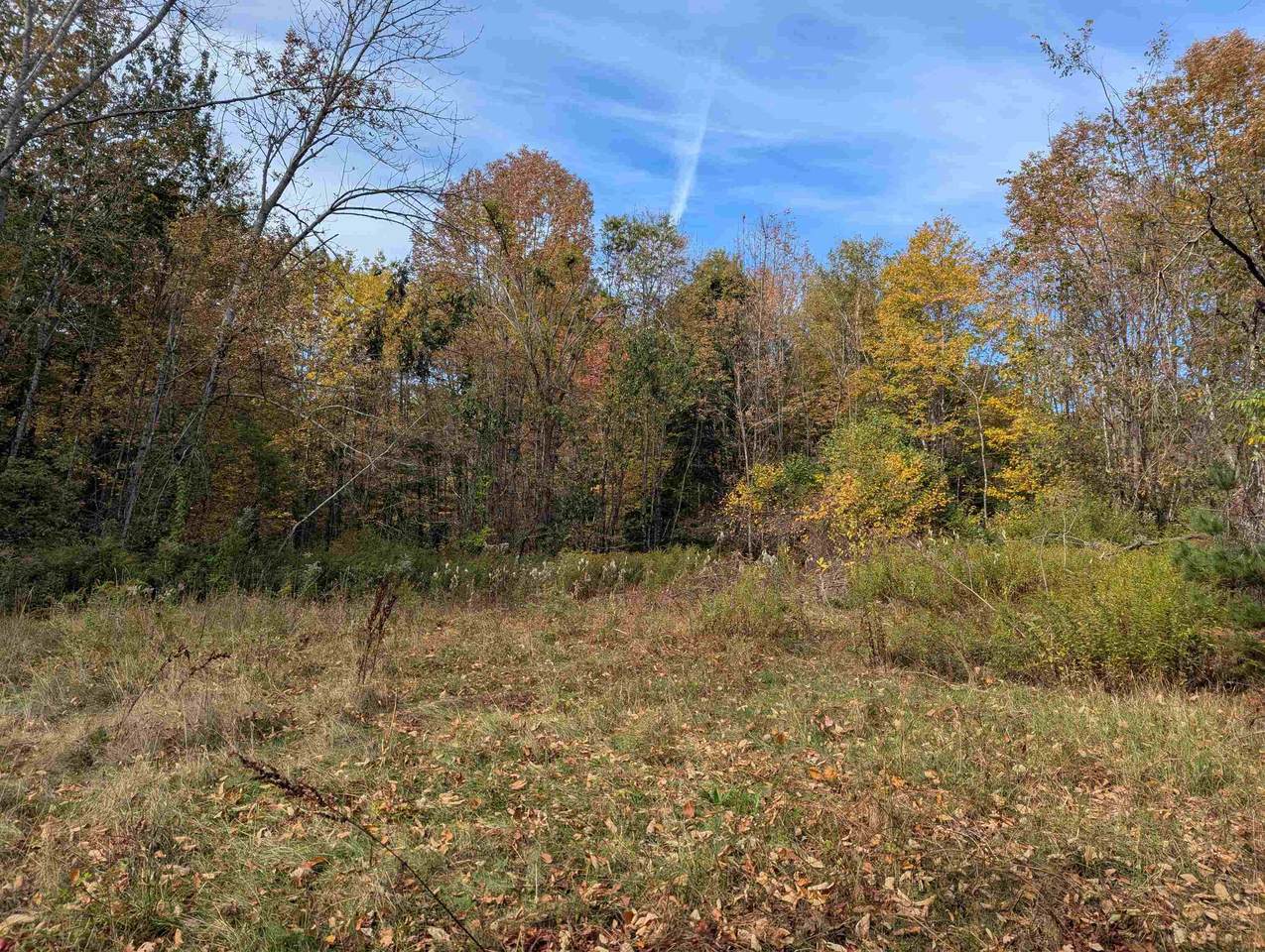 113 Jones Road - Photo 1