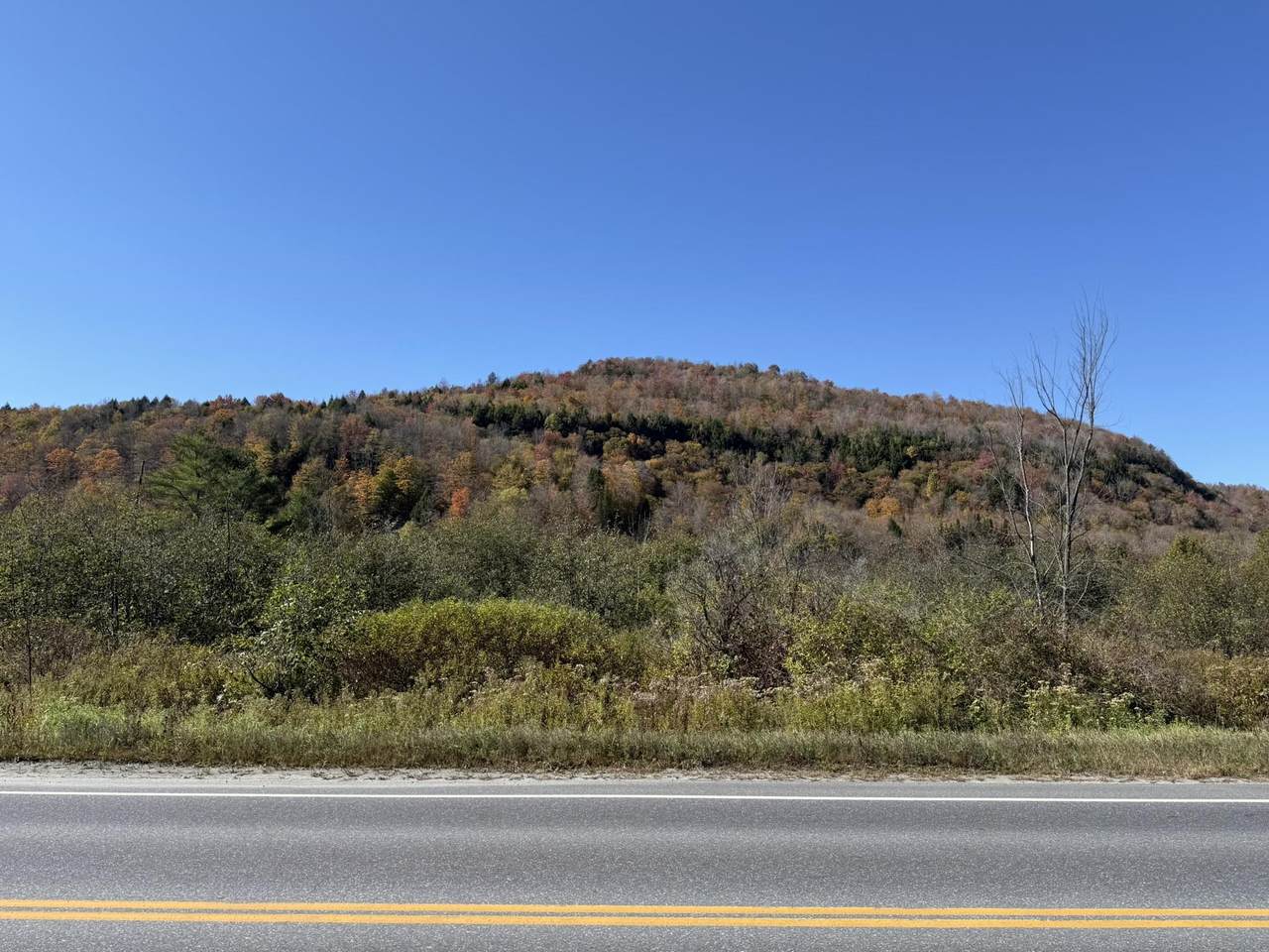 0 Vt Rt 14 South - Photo 1