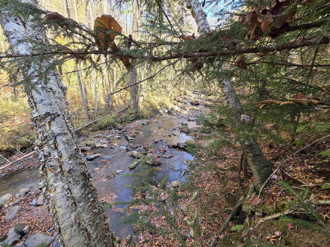  Washburn Road - Photo 1