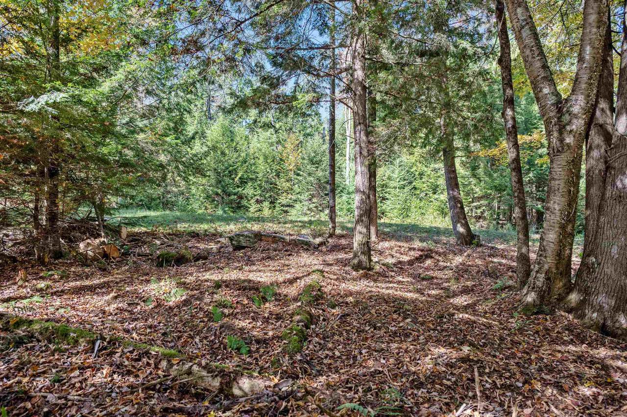 442 Vt Route 12 - Photo 1