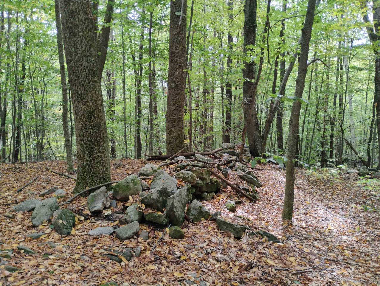 0 Taft Road - Photo 1