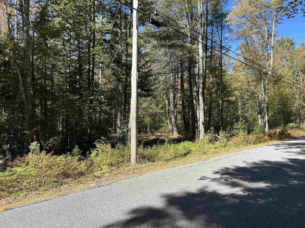  Birch Hill Road - Photo 1