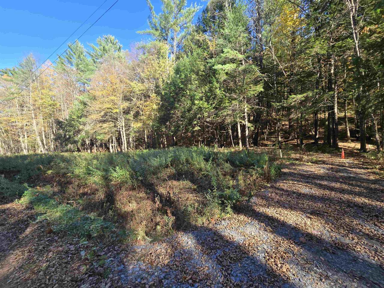 00 Tandy Brook Road - Photo 1