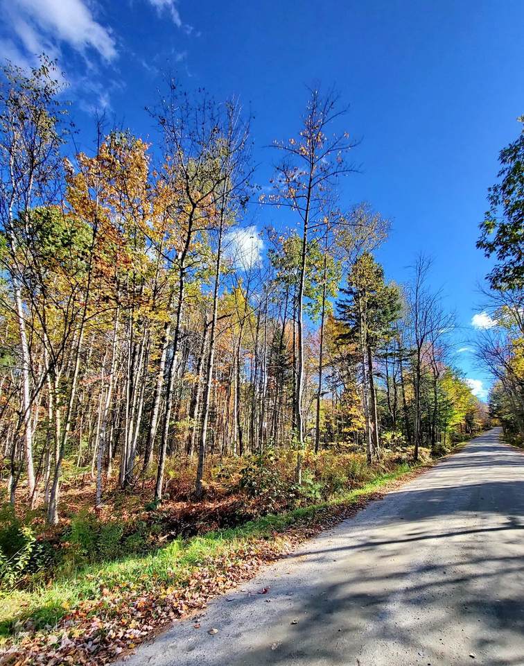 00 Swazey Lane - Photo 1