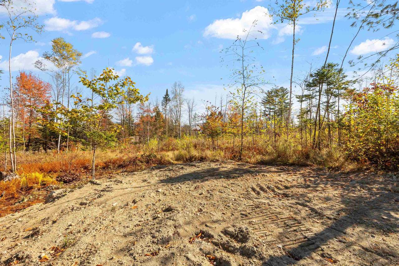 Lot 11 Hartco Avenue - Photo 1