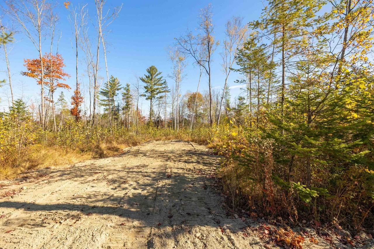 Lot 17 Hartco Avenue - Photo 1