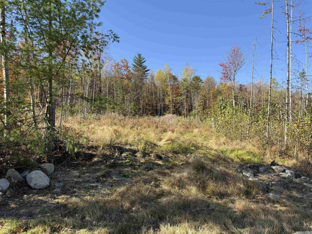 Lot 18 Hartco Avenue - Photo 1