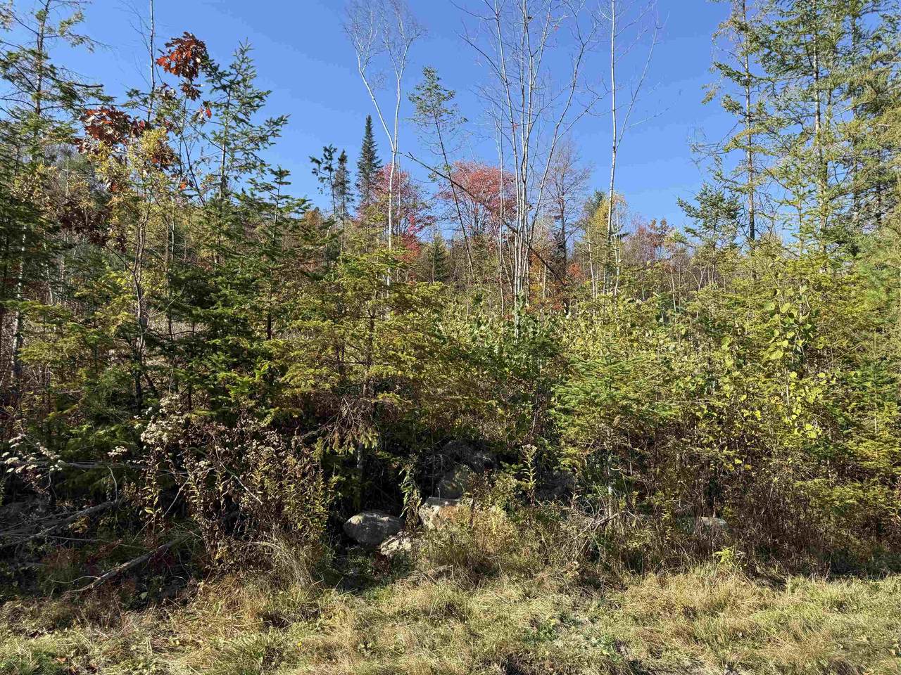 Lot 20 Hartco Avenue - Photo 1