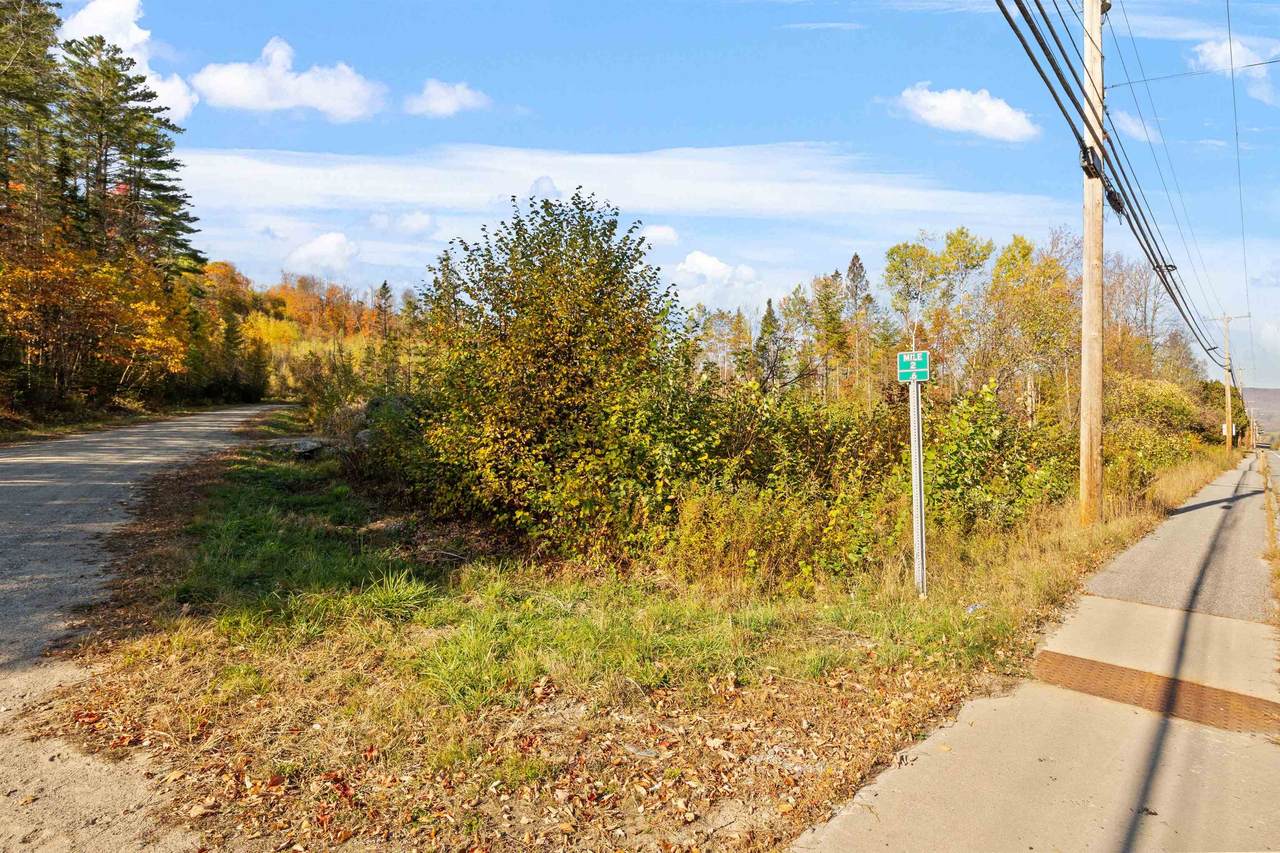 Lot 33-34 Hartco Avenue - Photo 1