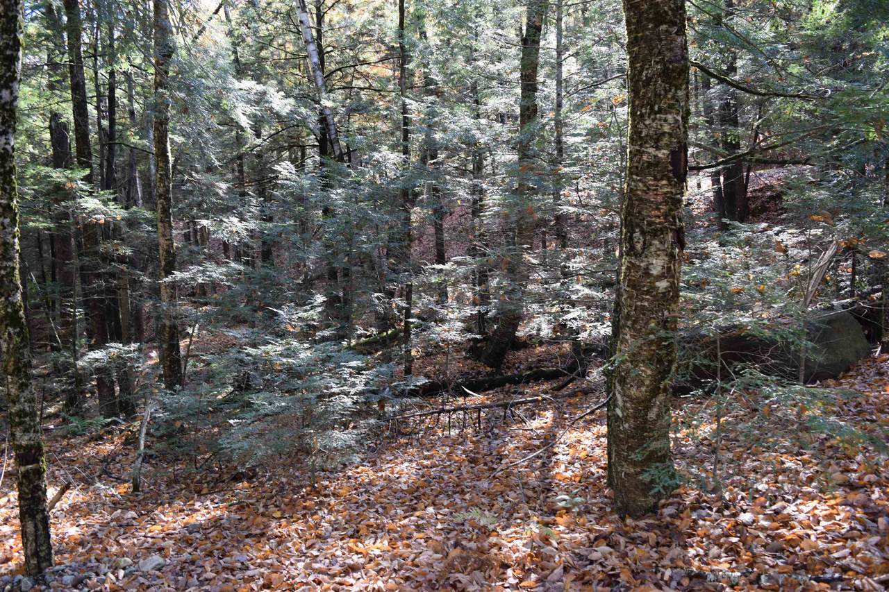 Lot 14 Hanover Drive - Photo 1