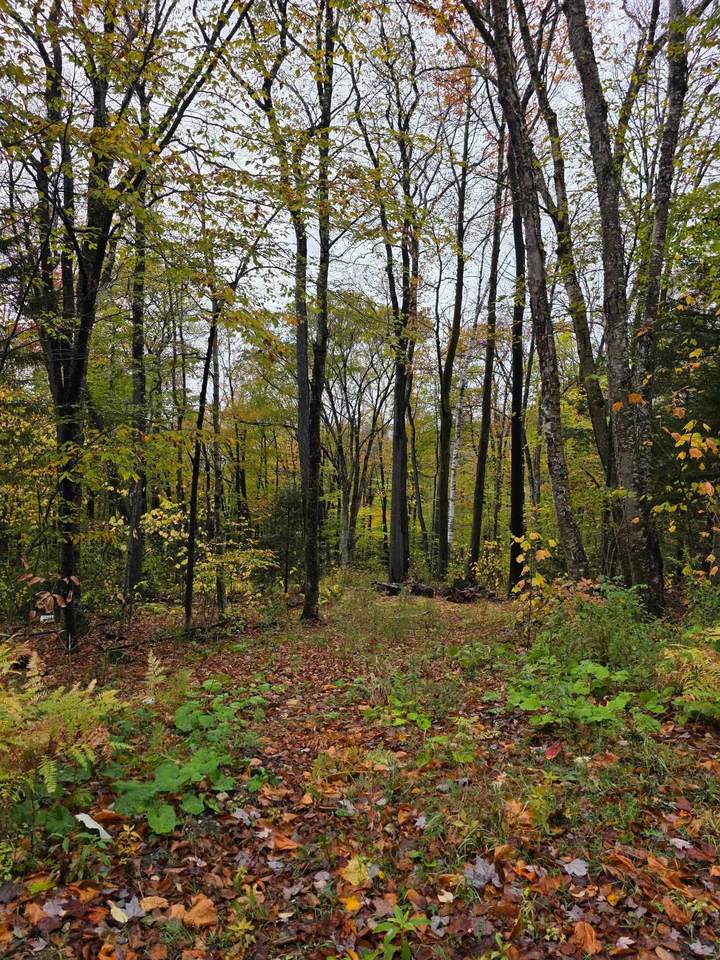 00 Heartwellville View Road - Photo 1