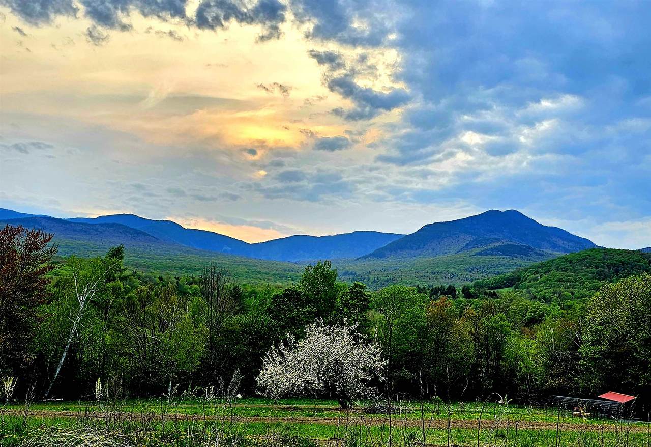 3326 Mud City Loop - Photo 1