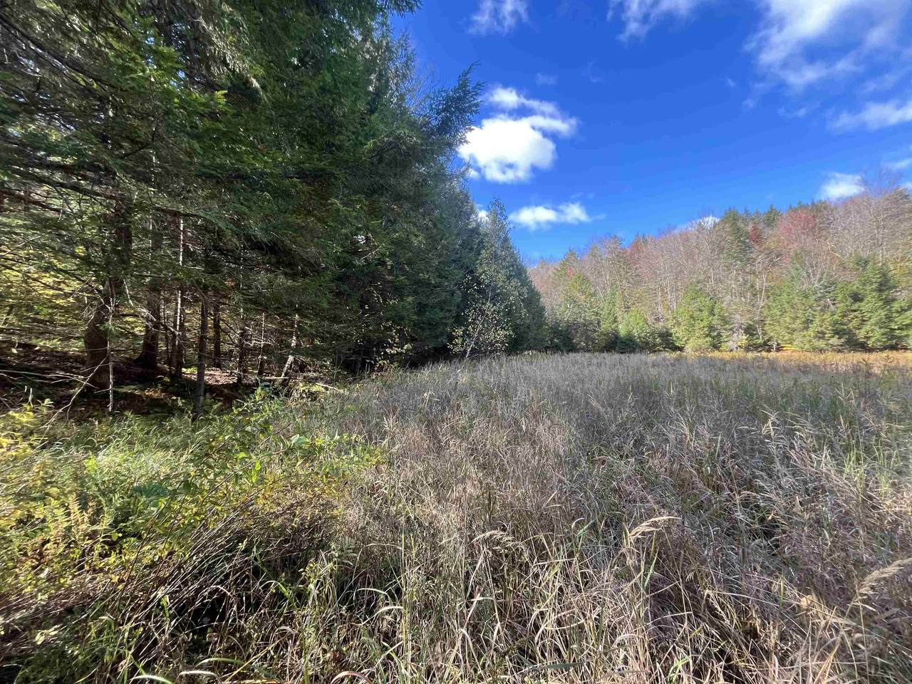 720 Bat Hennessy Road - Photo 1