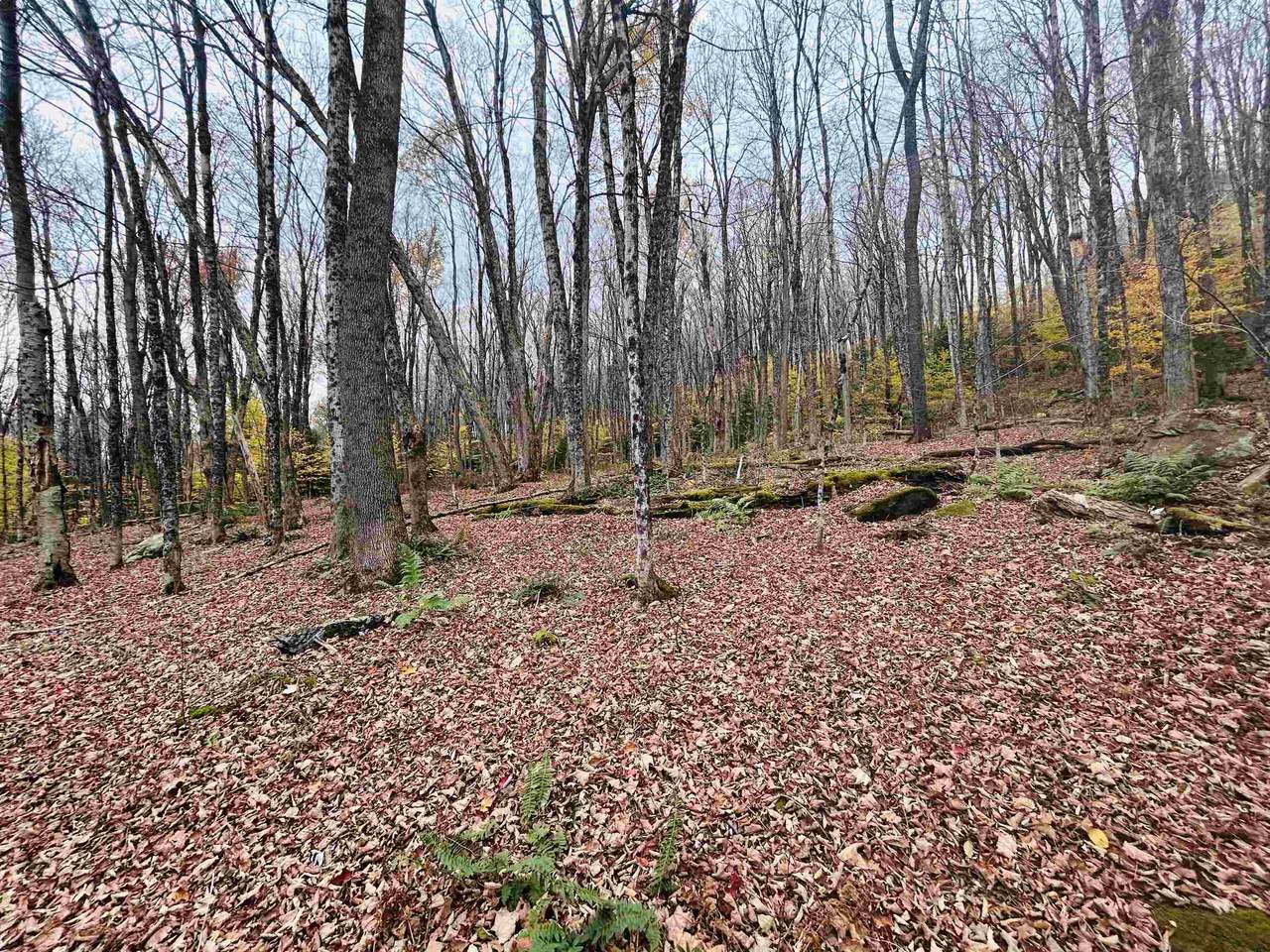 00 Alpendorf Avenue - Photo 1