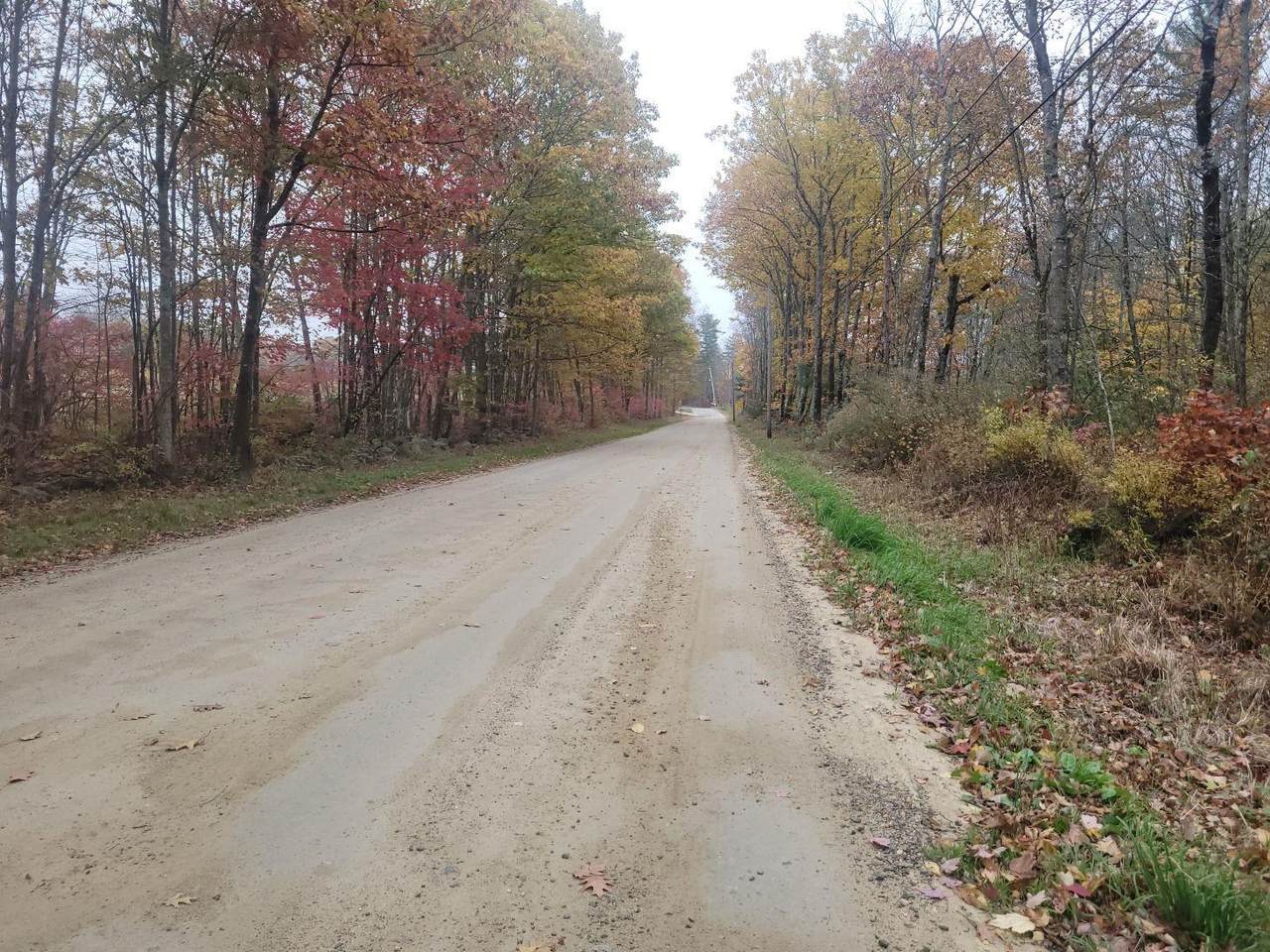M2-l29-9 Province Road - Photo 1