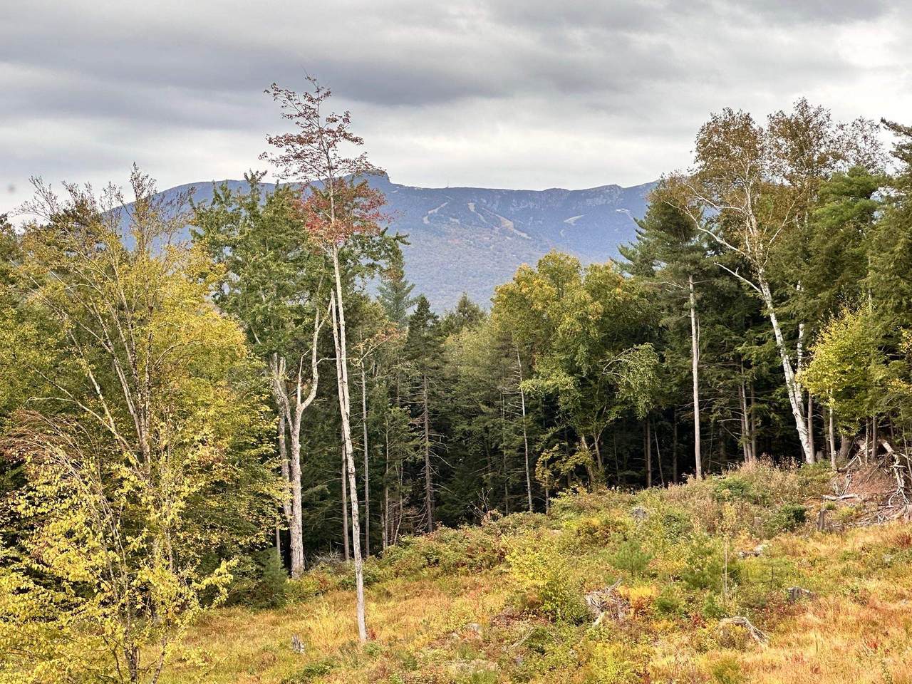 2364 Mountain Road - Photo 1