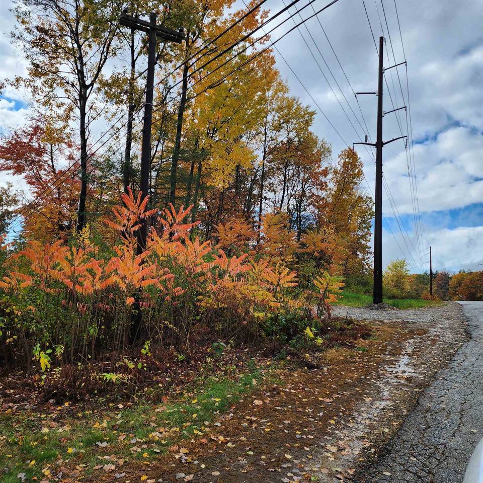 0 Ashuelot Drive - Photo 1