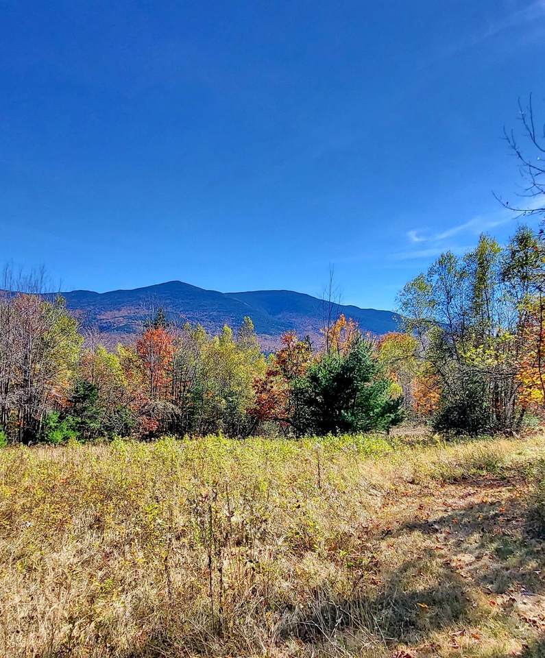 00 Ruskin Road - Photo 1