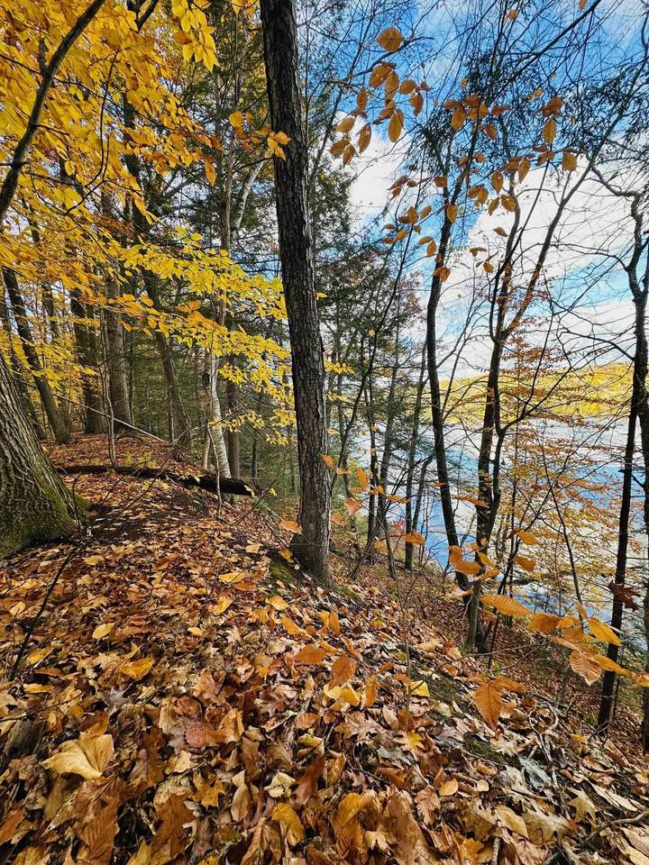 476 Missing Link Road - Photo 1