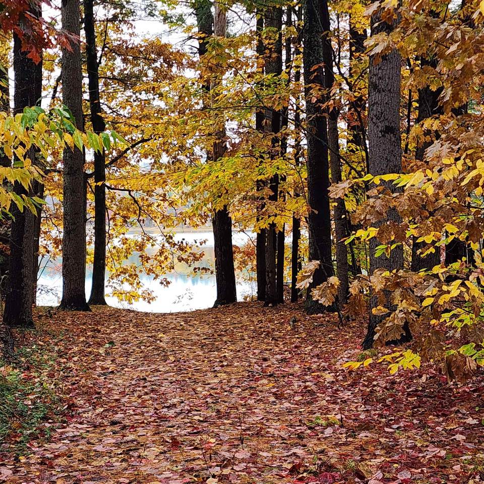 14 Emerald Lane - Photo 1