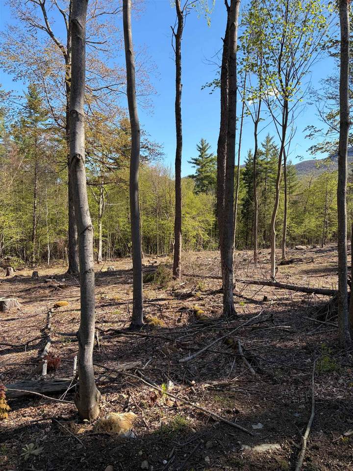 lot A Frost Pond Road - Photo 1