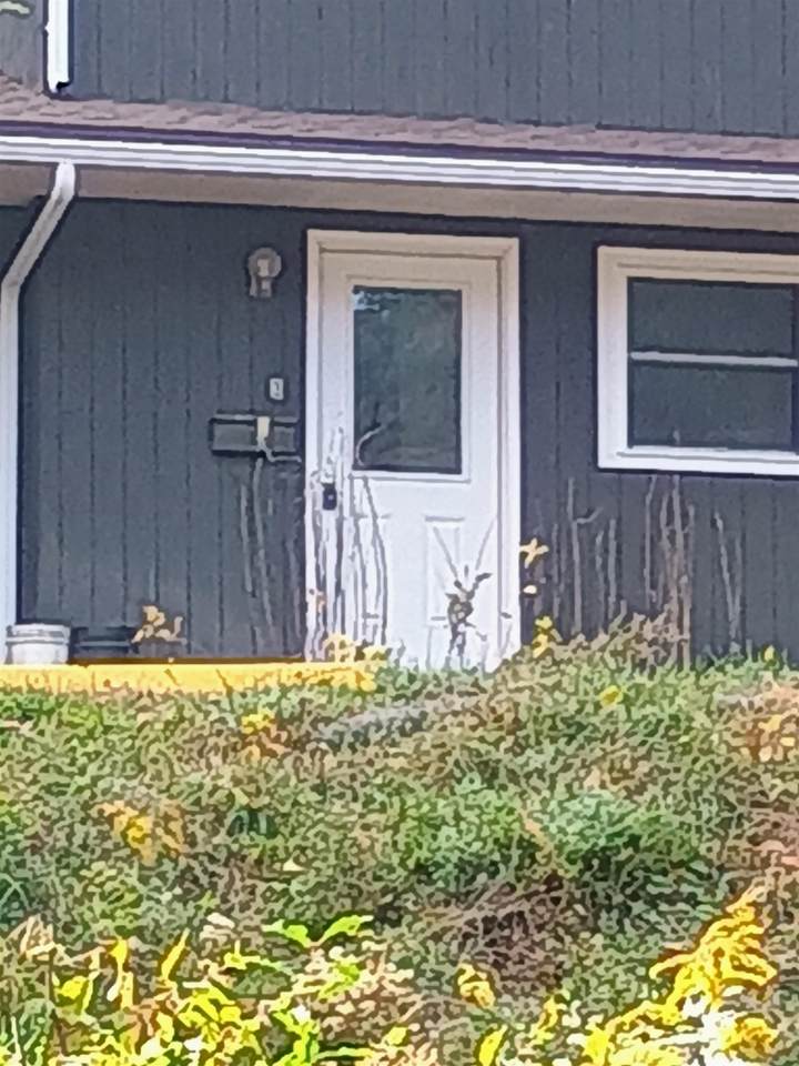 39 Brookside Drive - Photo 1