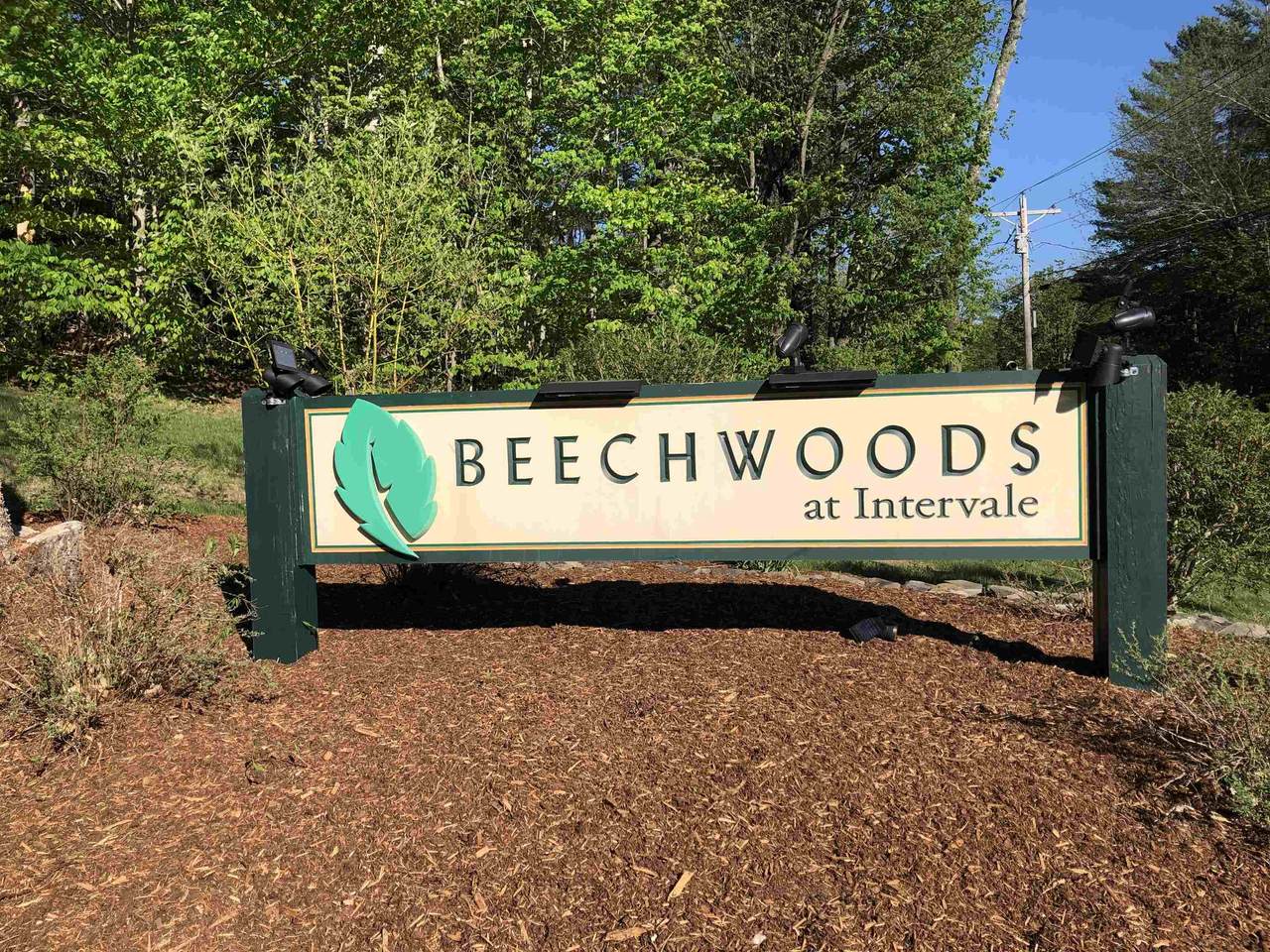 3 Beechwoods Drive - Photo 1