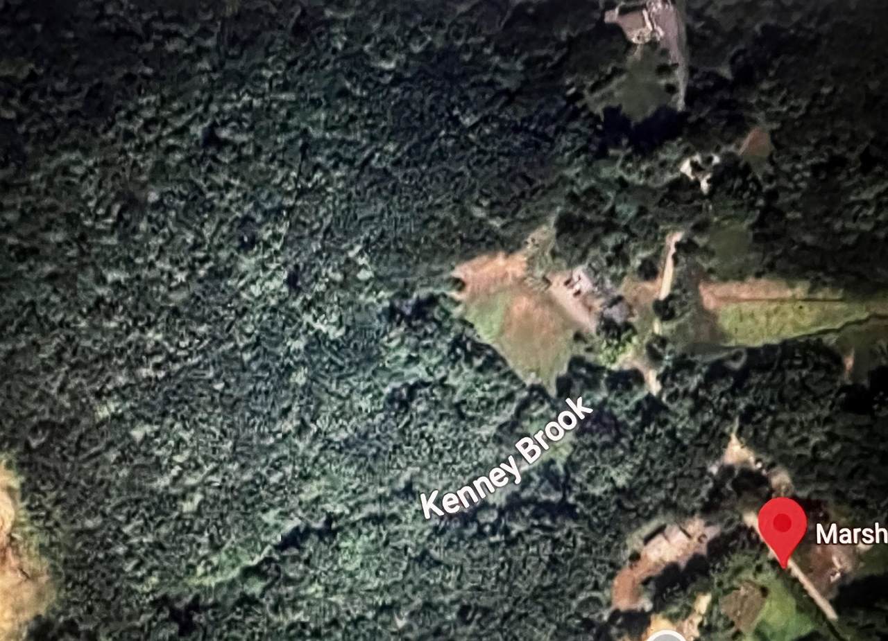  Marsh Lane - Photo 1