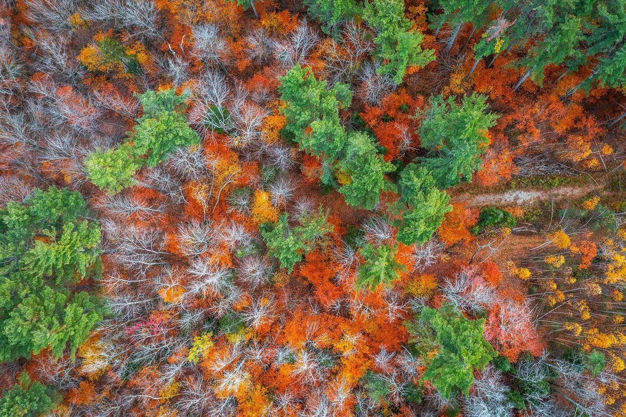 590 Howard Hill Road - Photo 1