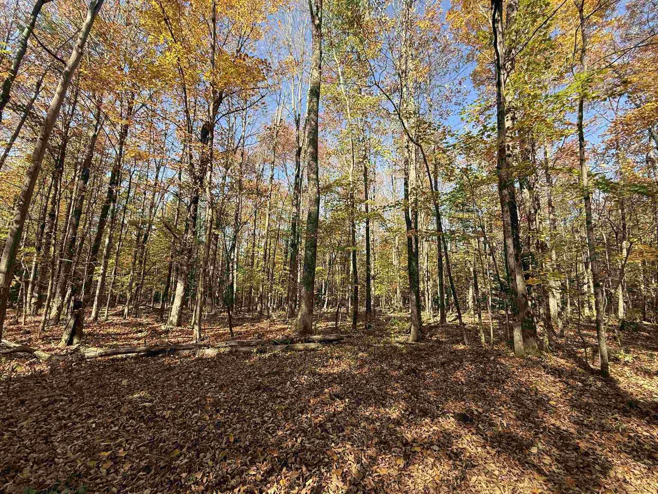 1414 Collins Mill Road - Photo 1