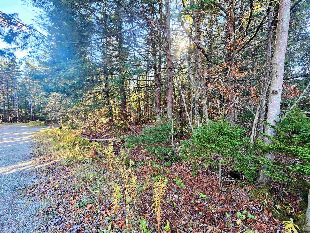 00 Country Court - Photo 1