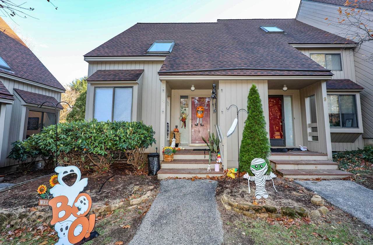 10 Pimlico Court - Photo 1