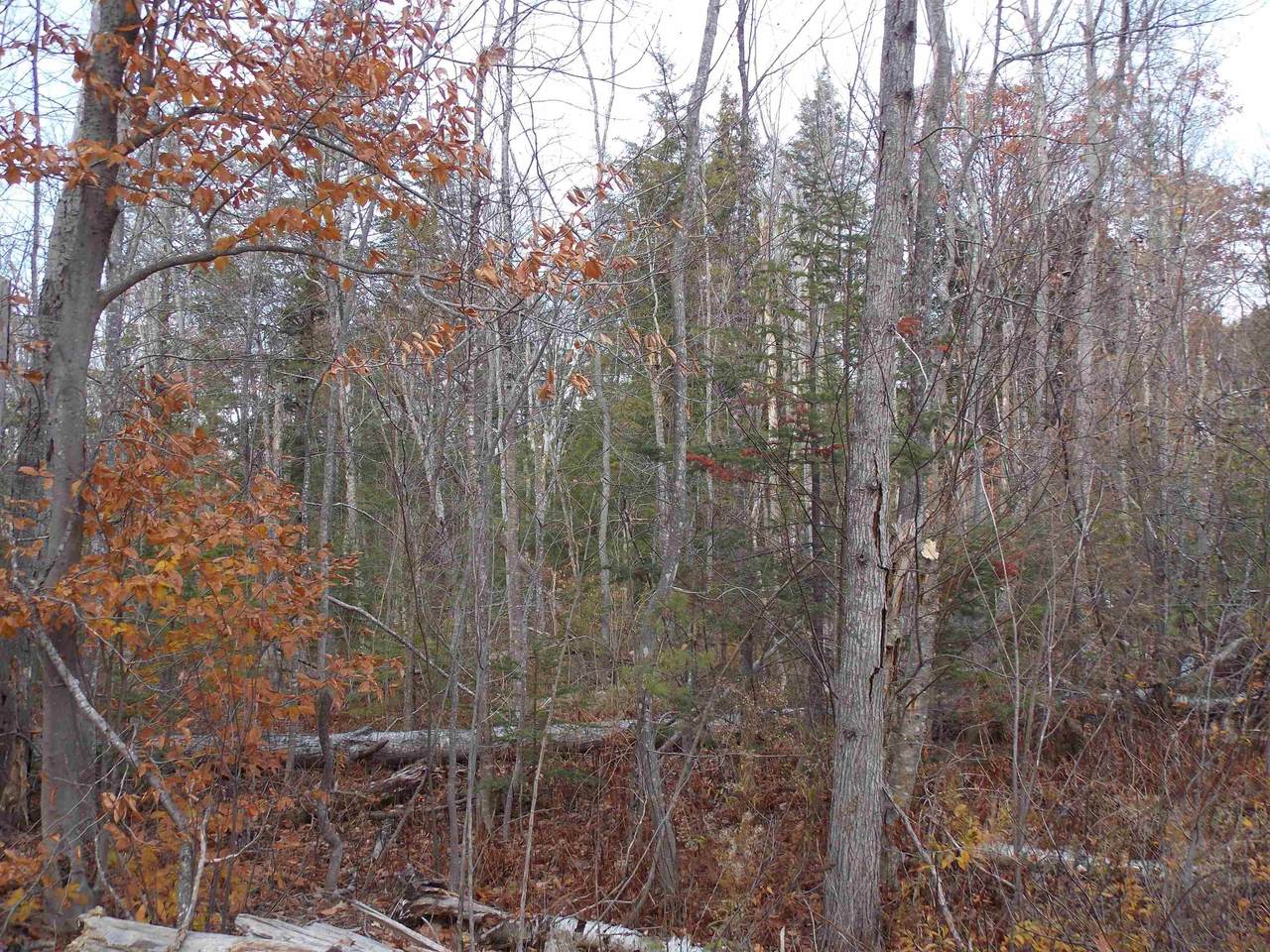 https://bt-photos.global.ssl.fastly.net/nneren/1280_boomver_1_5069007-2.jpg