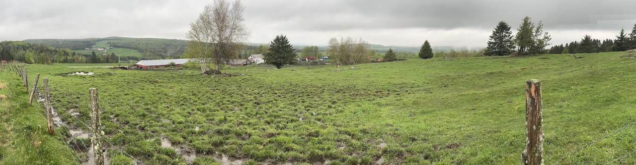 523 Trucott Road - Photo 1