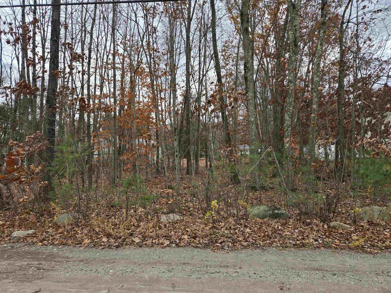 4 Miriam Road - Photo 1