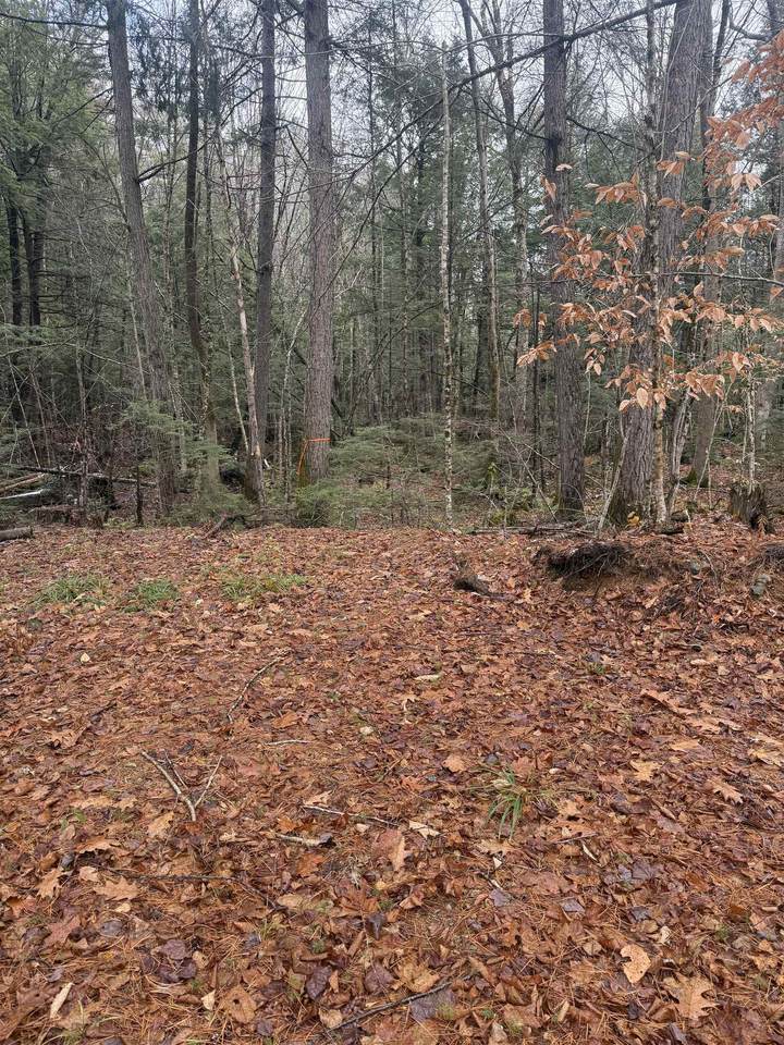 00 Partridge Hill Road - Photo 1