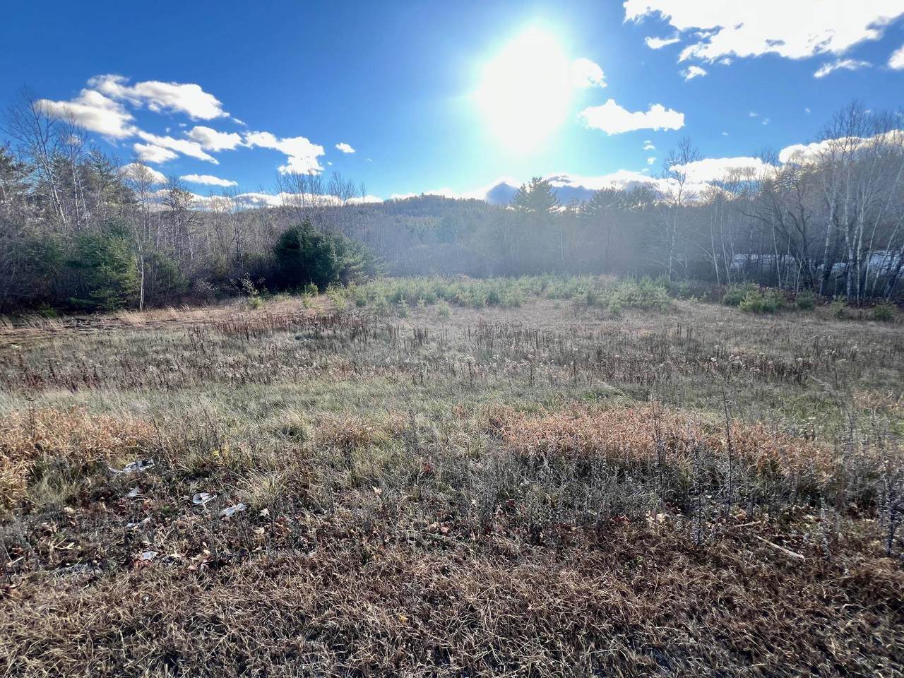 736 John Stark Highway - Photo 1