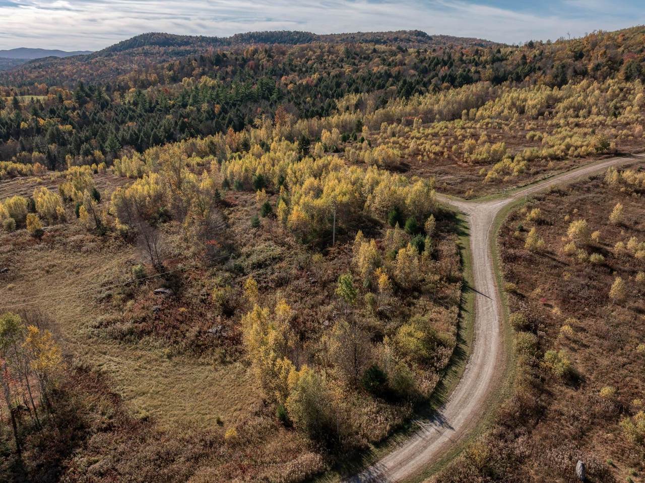 00 Birch Tree Lane - Photo 1