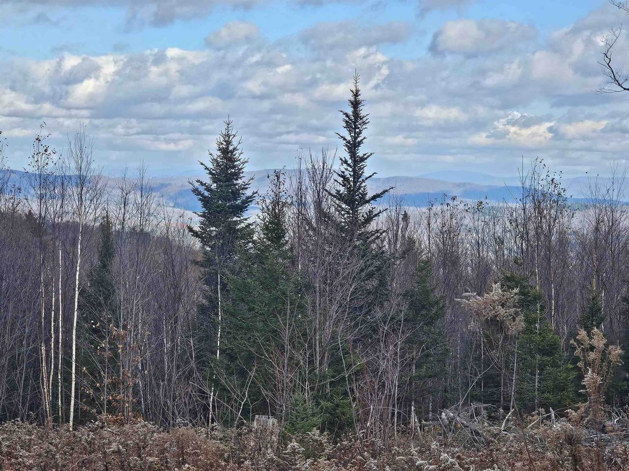 706 Vt Route 100 - Photo 1