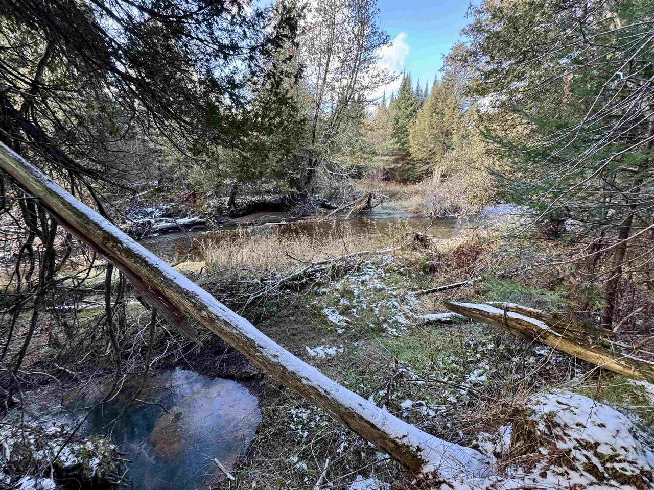 663 Ferguson Road - Photo 1