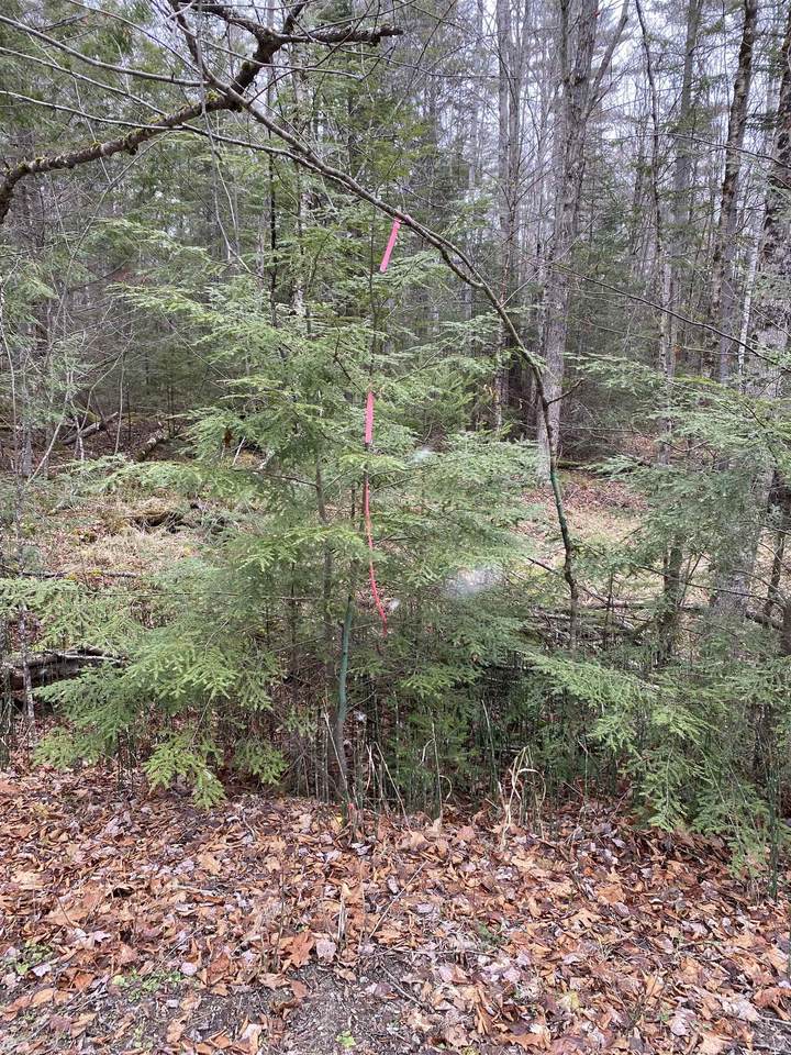 84 Vernon Avenue - Photo 1