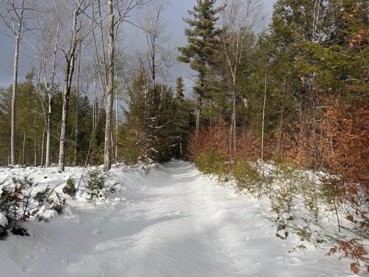 000 Dwinell Road - Photo 1