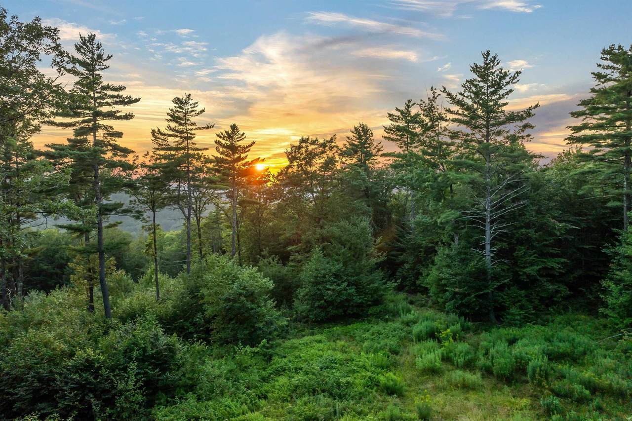 00 Pinnacle Ridge Road - Photo 1