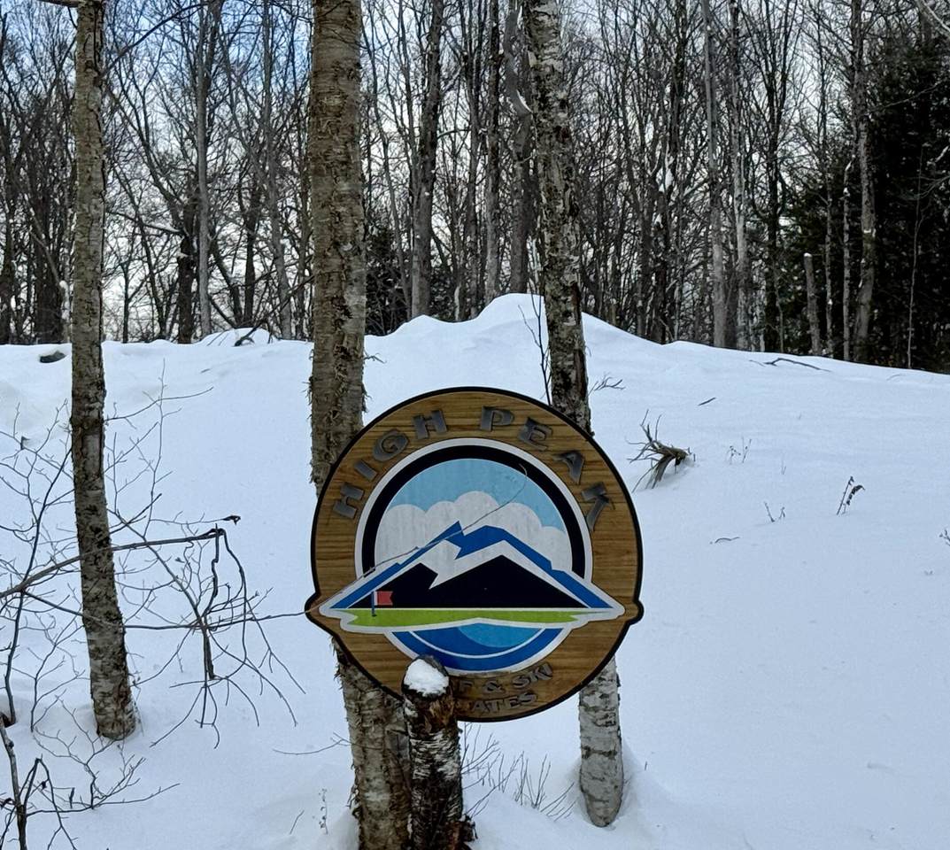 Lot 2 - 162 High Peak Way - Photo 1